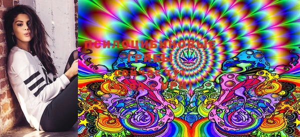 ECSTASY Балахна